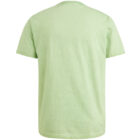 Short sleeve r-neck Quiet Green PTSS2504593-6258