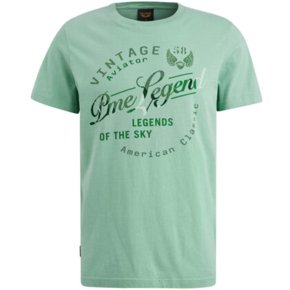 Short sleeve r-neck Cameo Blue PTSS2504596-5149